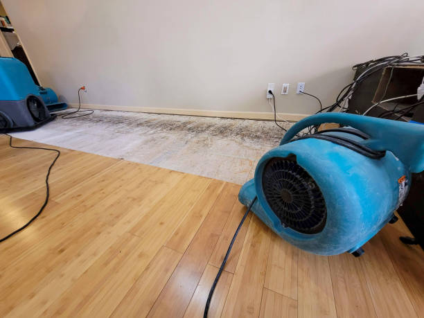 Professional Structural Drying technician working in Taylors Falls, MN